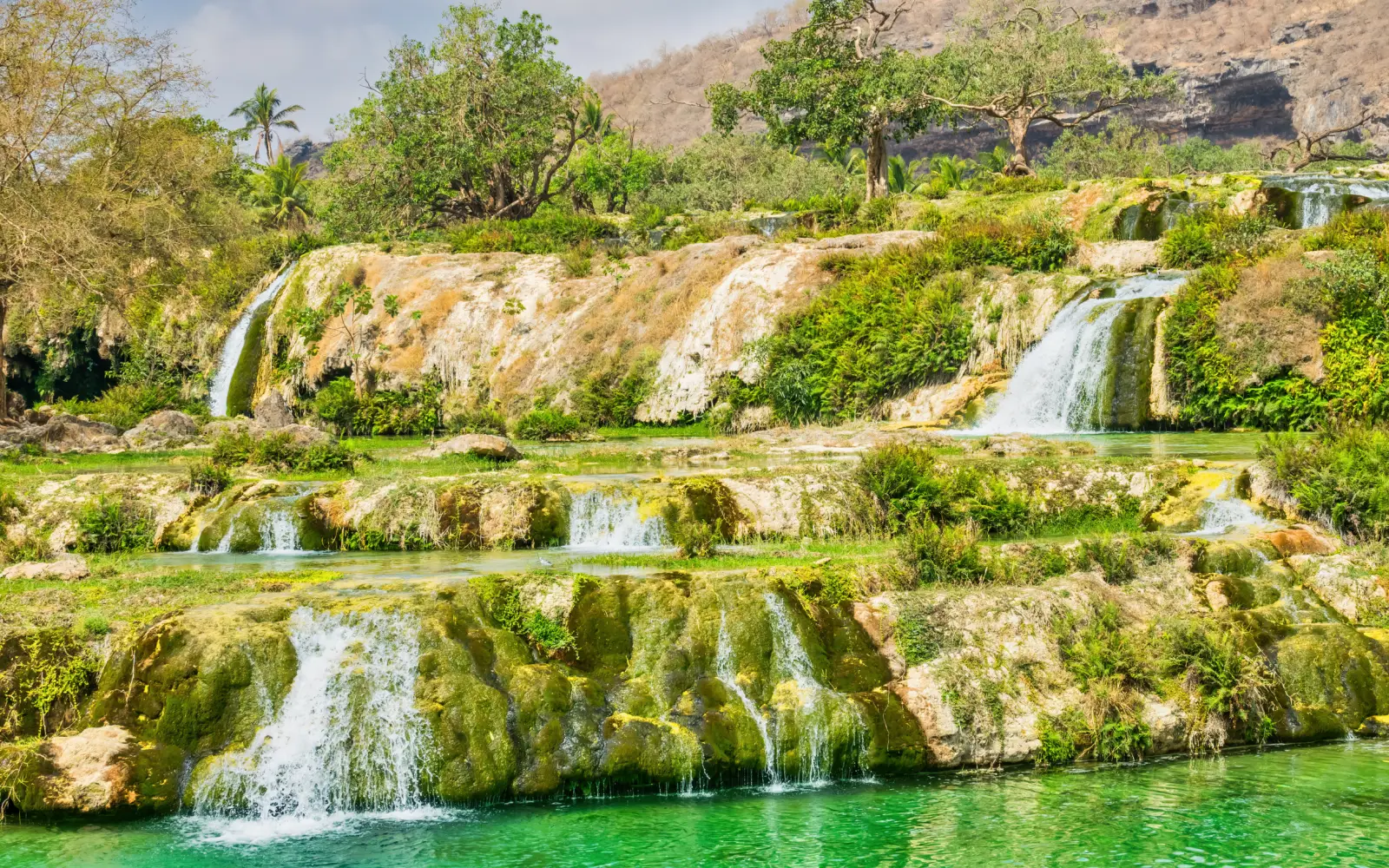 Salalah Exploration